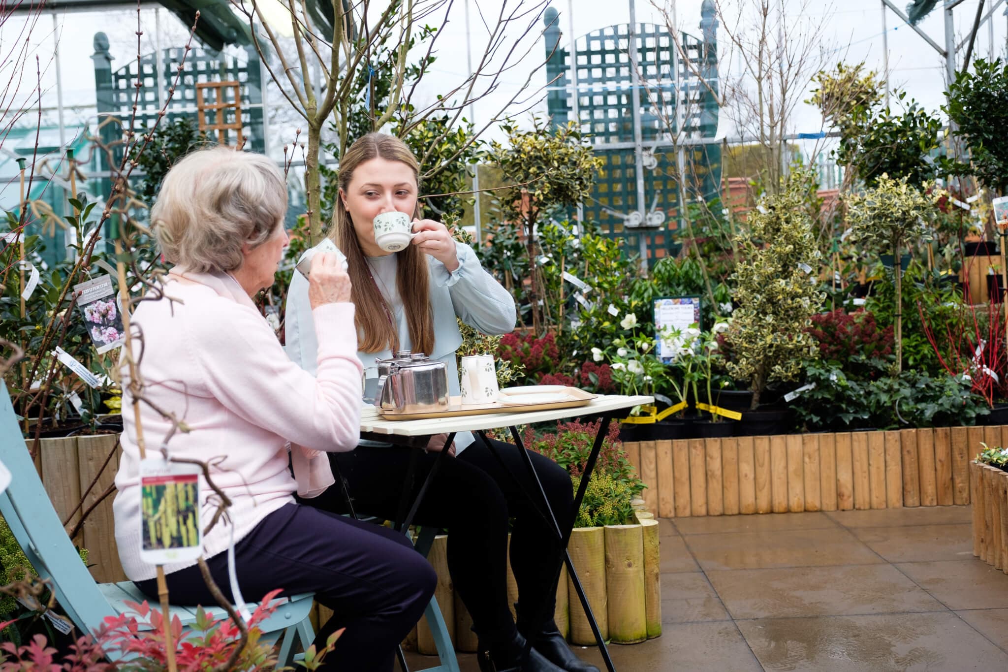 Two women sitting at a table in a garden center, enjoying tea surrounded by various plants and greenery. - Home Instead