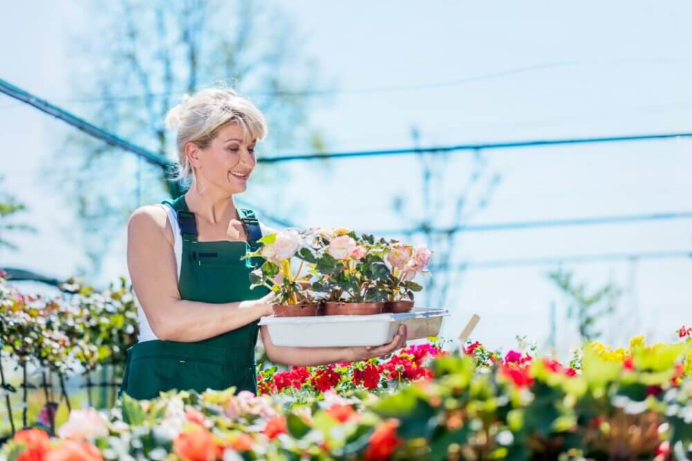 A woman in green overalls smiling and holding a tray of potted flowers in a garden center. - Home Instead