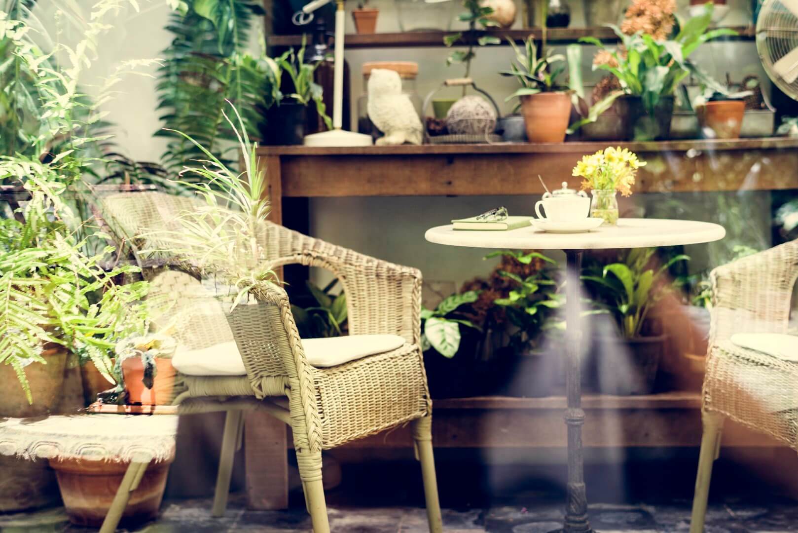 Cozy patio with wicker chairs, a small table with flowers, and various potted plants in the background. - Home Instead