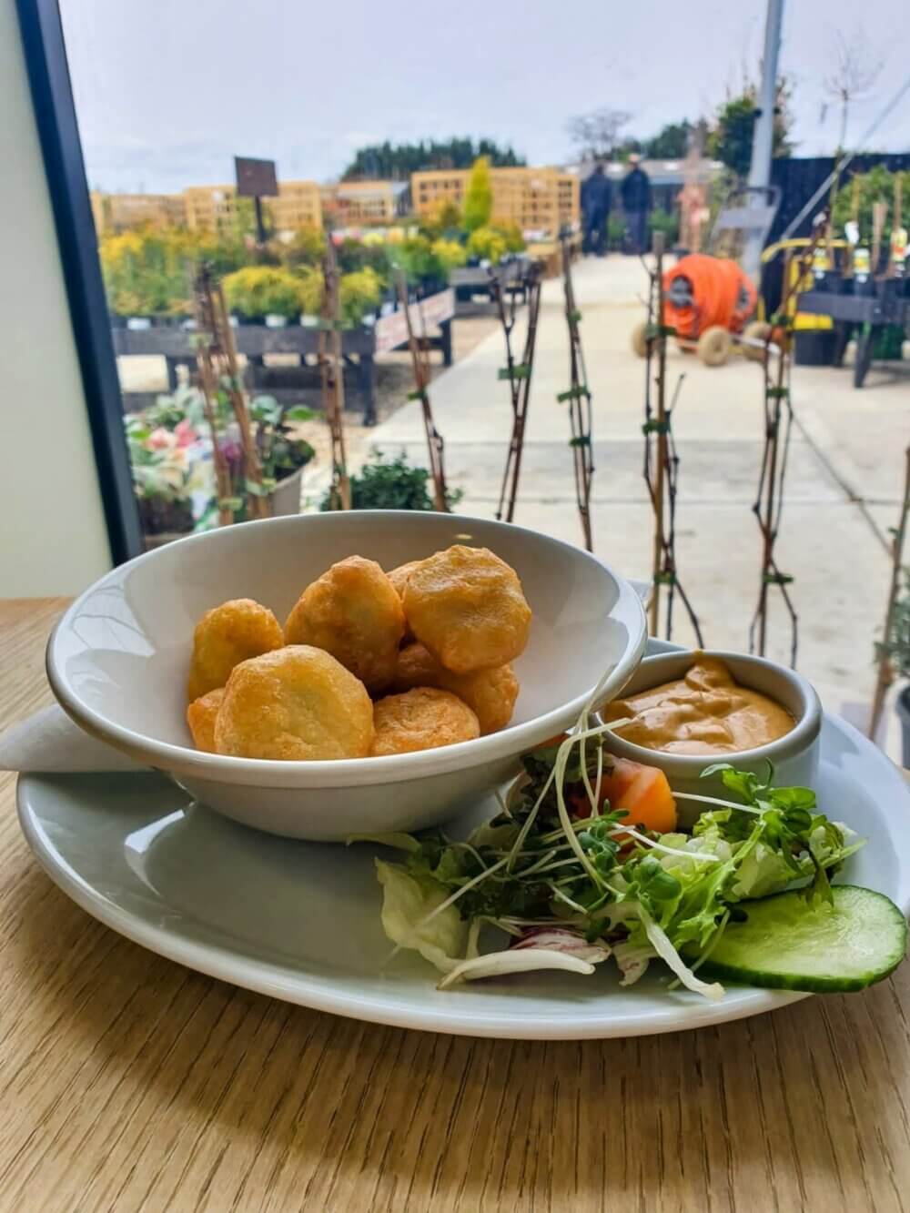 Plate with fried snacks, a side of dipping sauce, and a small salad on a table by a window overlooking a garden center. - Home Instead