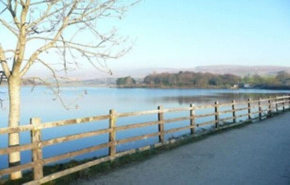 A serene lakeside scene with a wooden fence, bare tree, and distant hills under a clear blue sky. - Home Instead