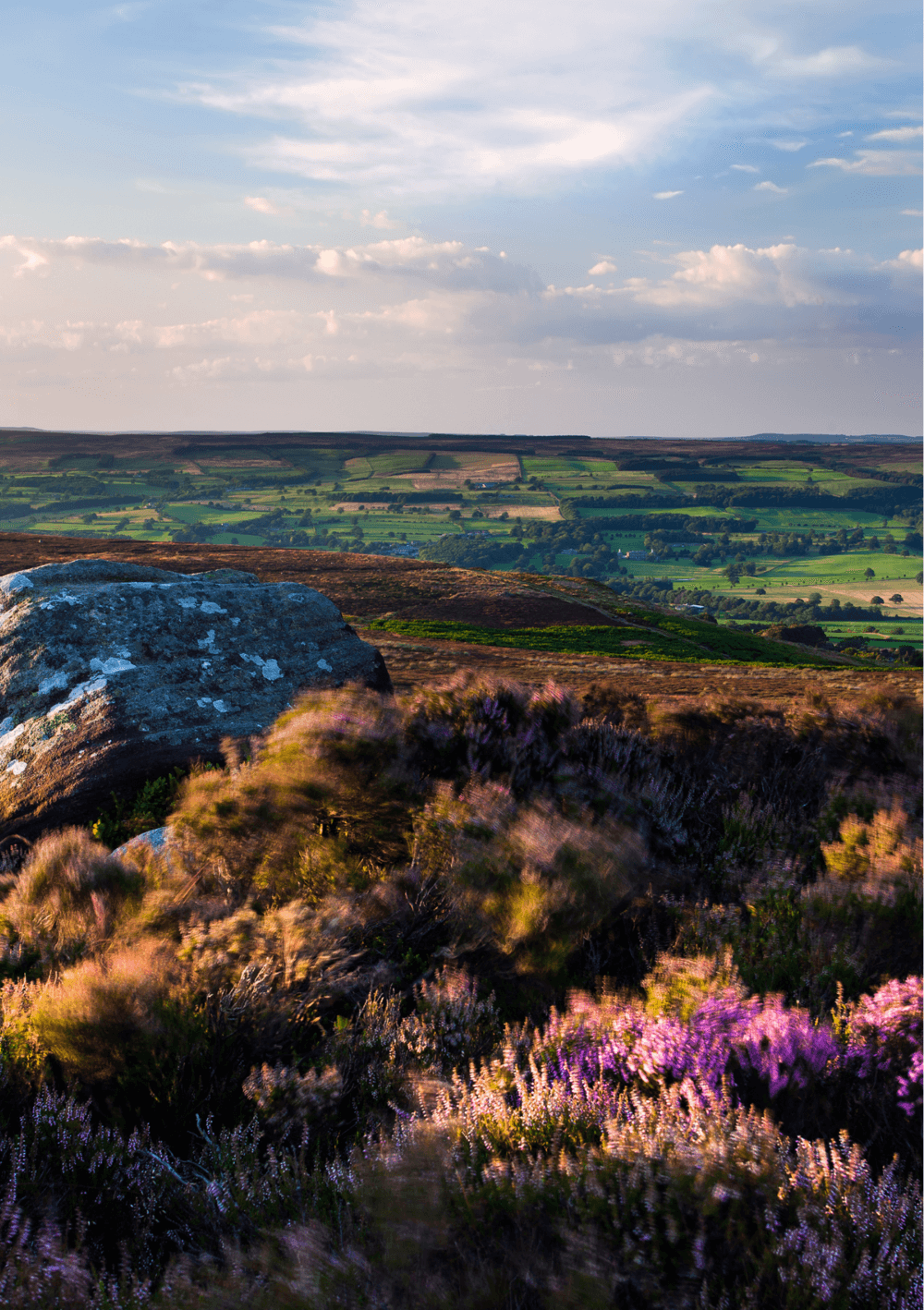 Scenic landscape with a large rock, purple heather, and fields in the distance under a partly cloudy sky. - Home Instead