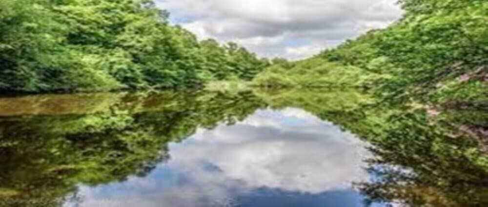 A serene river bordered by lush green trees reflects the cloudy sky above. - Home Instead