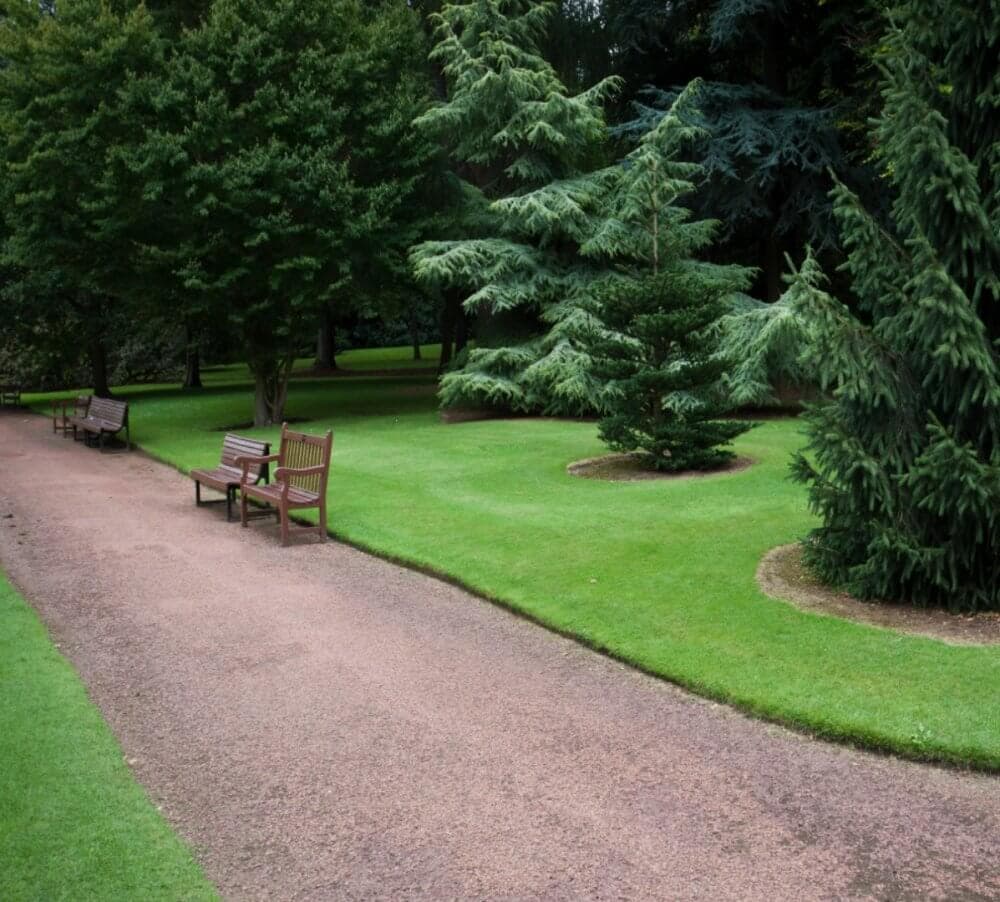 A park scene with a gravel path, benches, green lawns, and various trees. - Home Instead Southampton