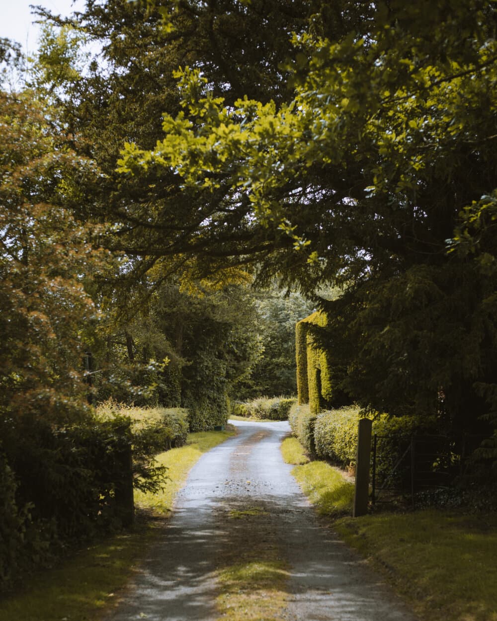 scenic walk - Home Instead