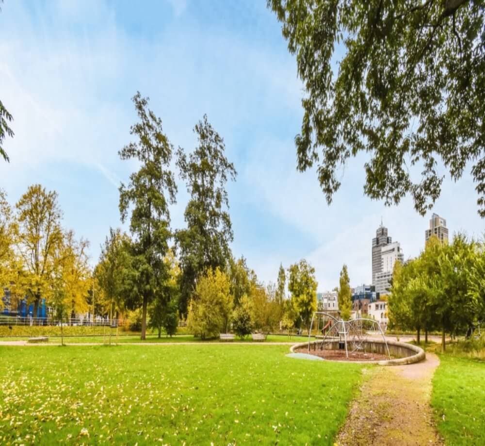 A wide view of a city park with green grass, trees, a playground, and tall buildings in the background under a clear sky. - Home Instead Southampton