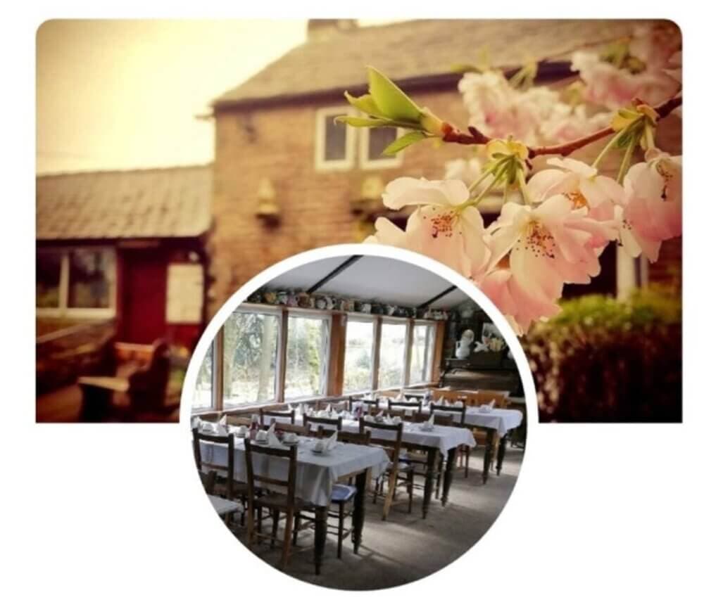 Cherry blossoms, rustic building, and a cozy dining area with tables set for meals near large windows. - Home Instead