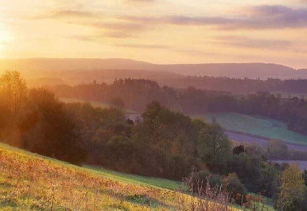 Sunset over a lush, green landscape with rolling hills, dense trees, and a hazy sky. - Home Instead