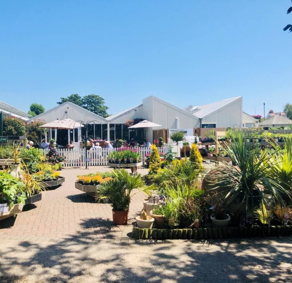 A sunny day at a plant nursery with a variety of potted plants, a white picket fence, and white buildings in the background. - Home Instead
