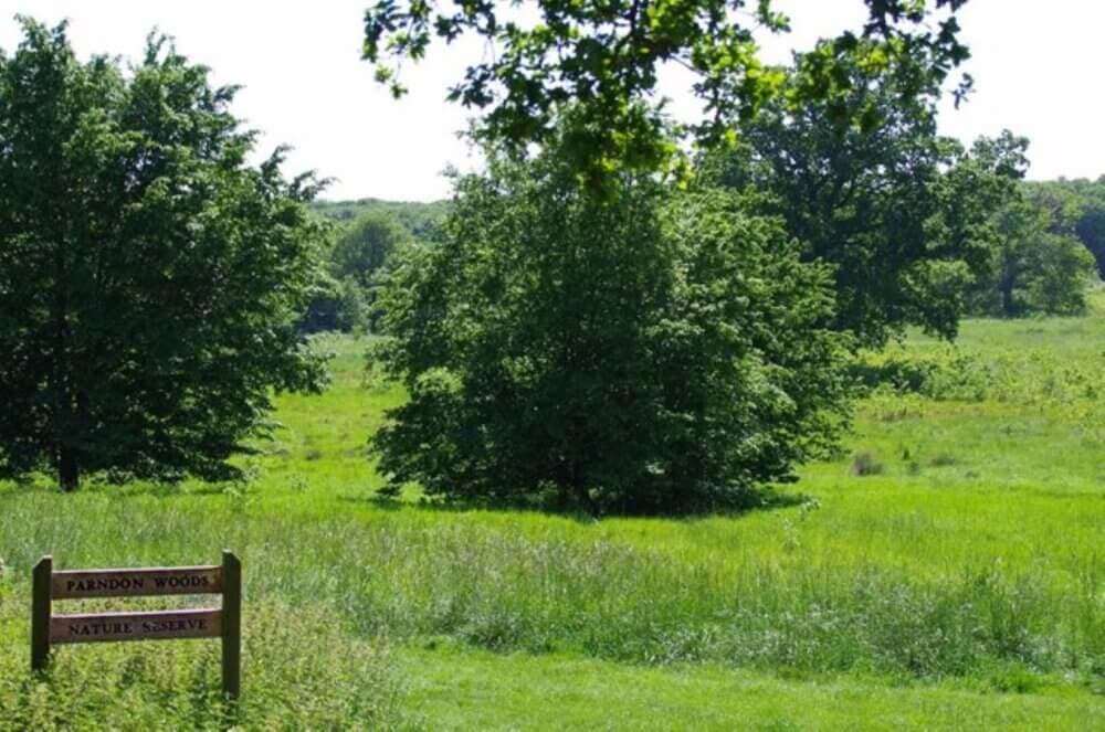 Lush green field with trees and a wooden sign reading "Parndon Woods Nature Reserve" on the left side. - Home Instead