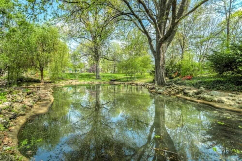 A serene pond surrounded by lush greenery and large trees on a bright, sunny day, with reflections on the water. - Home Instead