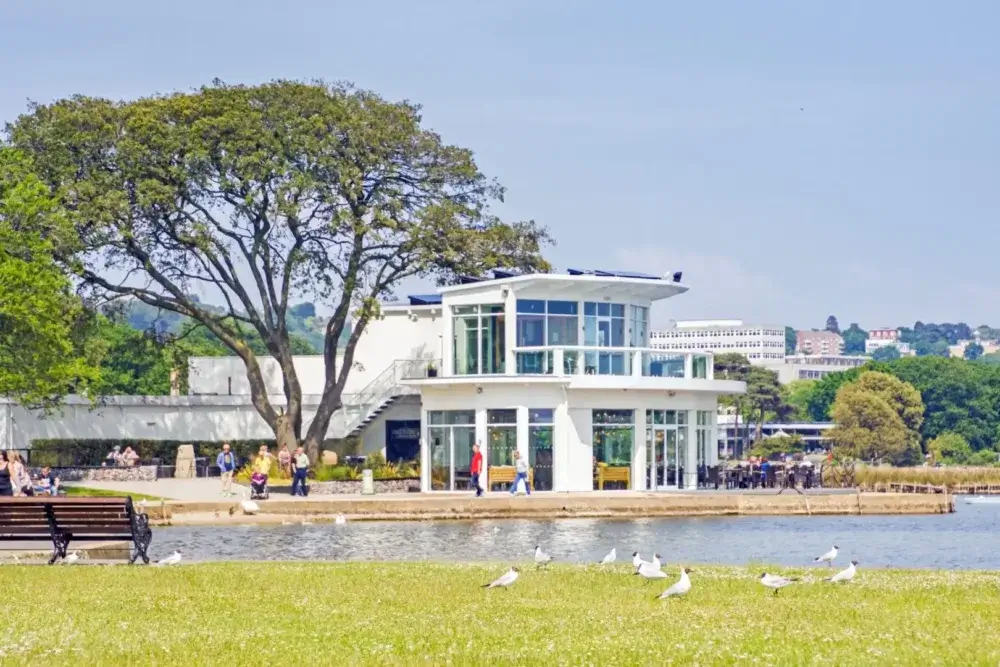 A modern white lakeside pavilion with large glass windows, surrounded by greenery and seagulls, on a sunny day. - Home Instead Poole
