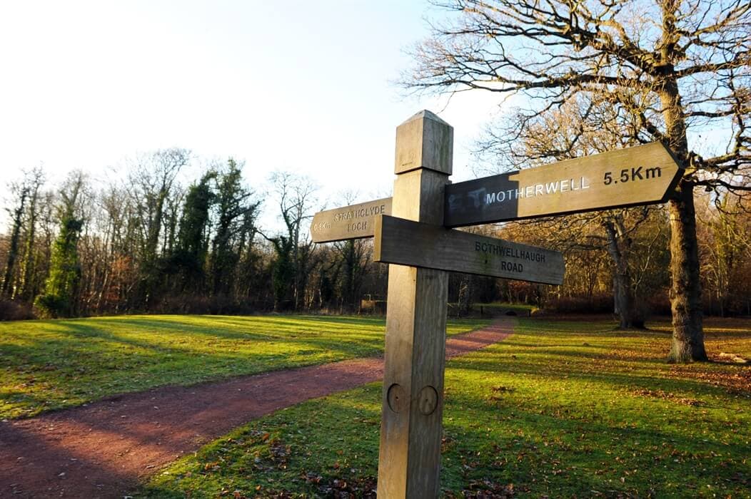 Wooden signpost in a grassy park, with directions to Motherwell, a small path, and trees without leaves in the background. - Home Instead