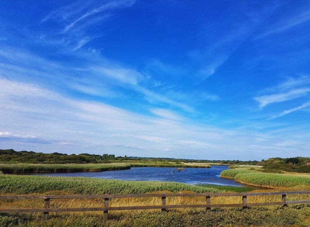 A serene landscape with a wooden fence, lush green fields, a winding river, and a vibrant blue sky with wispy clouds. - Home Instead