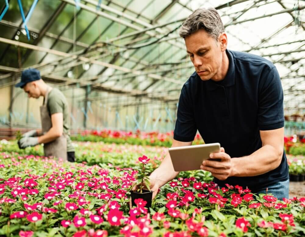 Two men working in a greenhouse; one examining flowers with a tablet, the other tending to plants in the background. - Home Instead