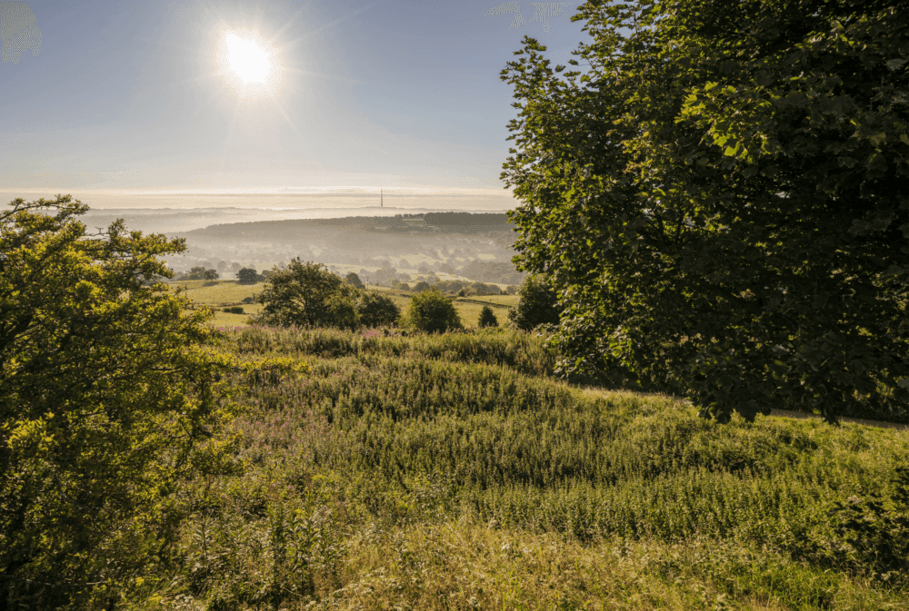 Sunny landscape with trees, fields, and hills, under a clear blue sky and a bright sun in the morning. - Home Instead