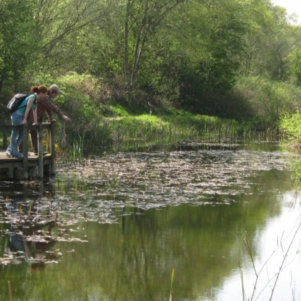 Two people lean over a wooden platform above a serene pond surrounded by lush greenery. - Home Instead