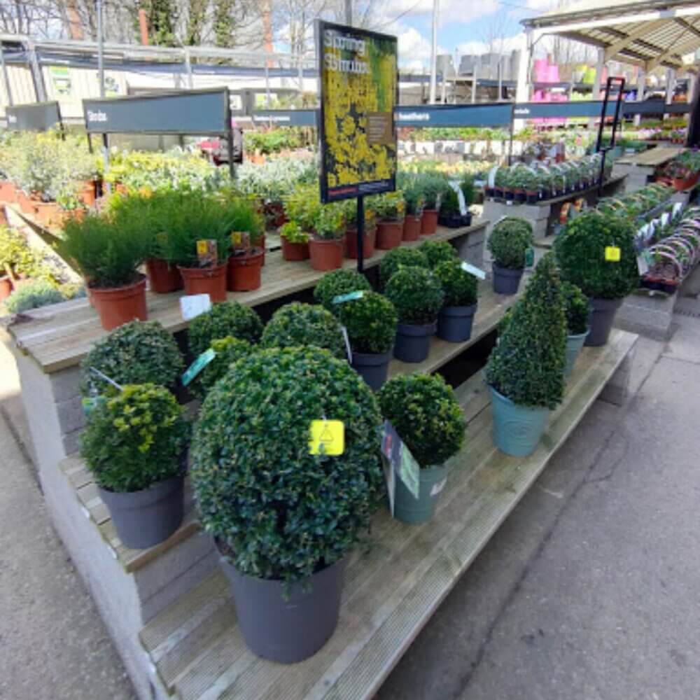 Potted plants displayed on stepped shelves in an outdoor garden center, with signs and other plants in the background. - Home Instead