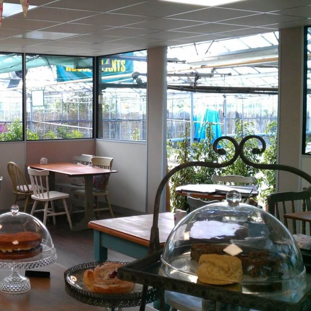 A cozy cafe with cakes on display under glass domes, and large windows showing an outdoor garden area. - Home Instead