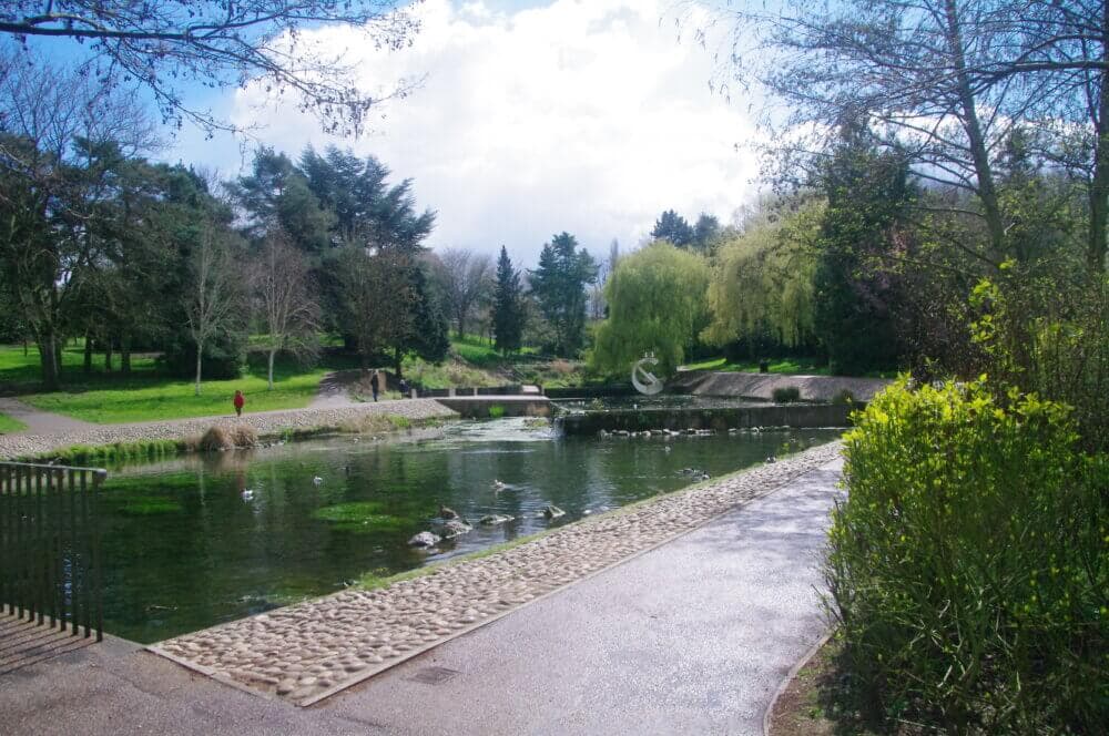 Park scene with a pond, bridge, trees, and a winding path. A person stands in the distance near the bridge. - Home Instead