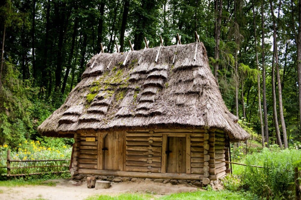 A wooden cabin with a thatched roof, surrounded by lush greenery and trees in the background. - Home Instead
