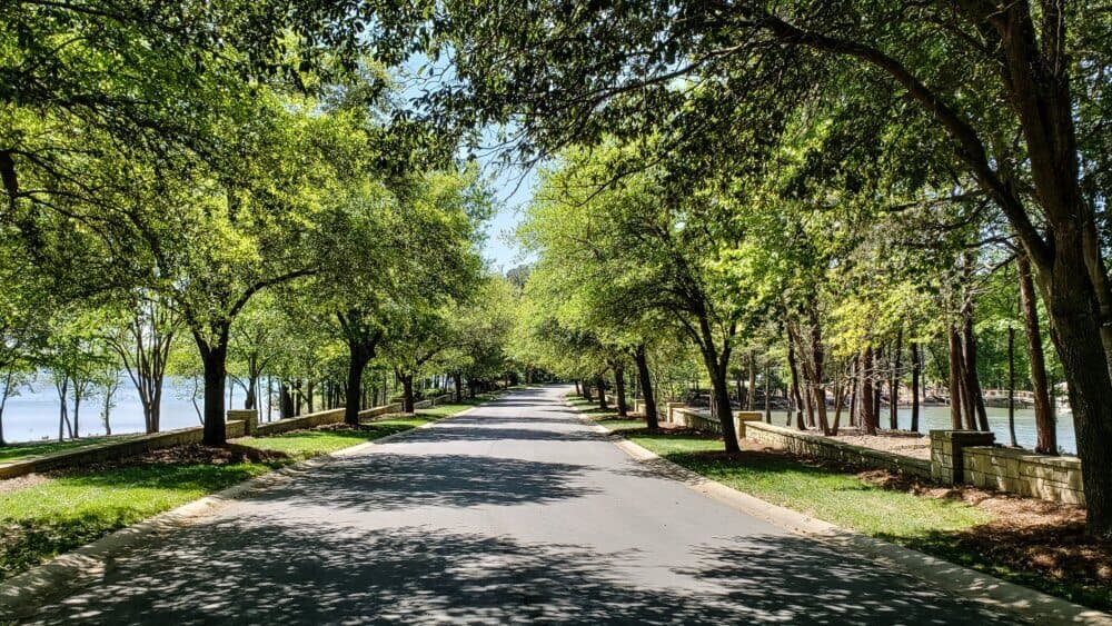 A tree-lined road in a park with sunlight filtering through the leaves, casting shadows on the pavement. - Home Instead