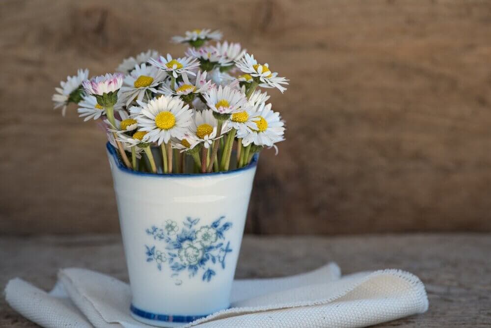A bouquet of white daisies with yellow centers in a white and blue mug on a cloth, set against a wooden background. - Home Instead