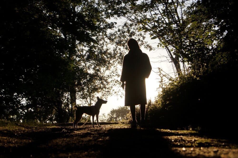 Silhouette of a person standing on a path with a dog, surrounded by trees and the setting sun in the background. - Home Instead