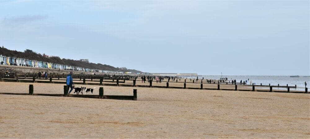 People walking along a sandy beach with colorful beach huts in the background, and a person walking dogs in the foreground. - Home Instead
