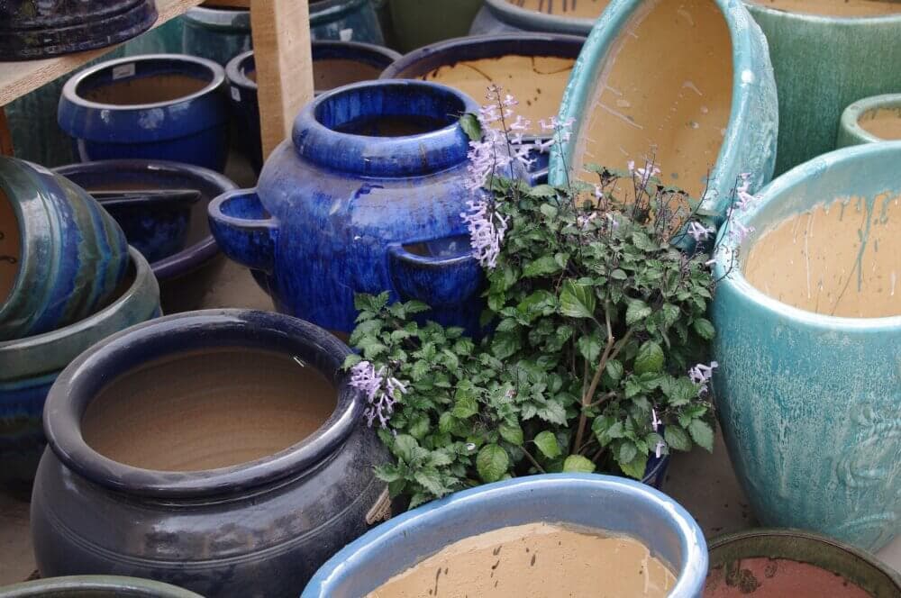 Assorted colorful ceramic pots, some are empty while others contain flowering plants, displayed in a garden shop. - Home Instead