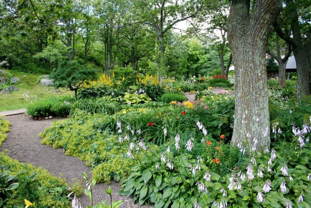 A lush garden with various green plants, colorful flowers, and a tree, all surrounded by winding gravel pathways. - Home Instead