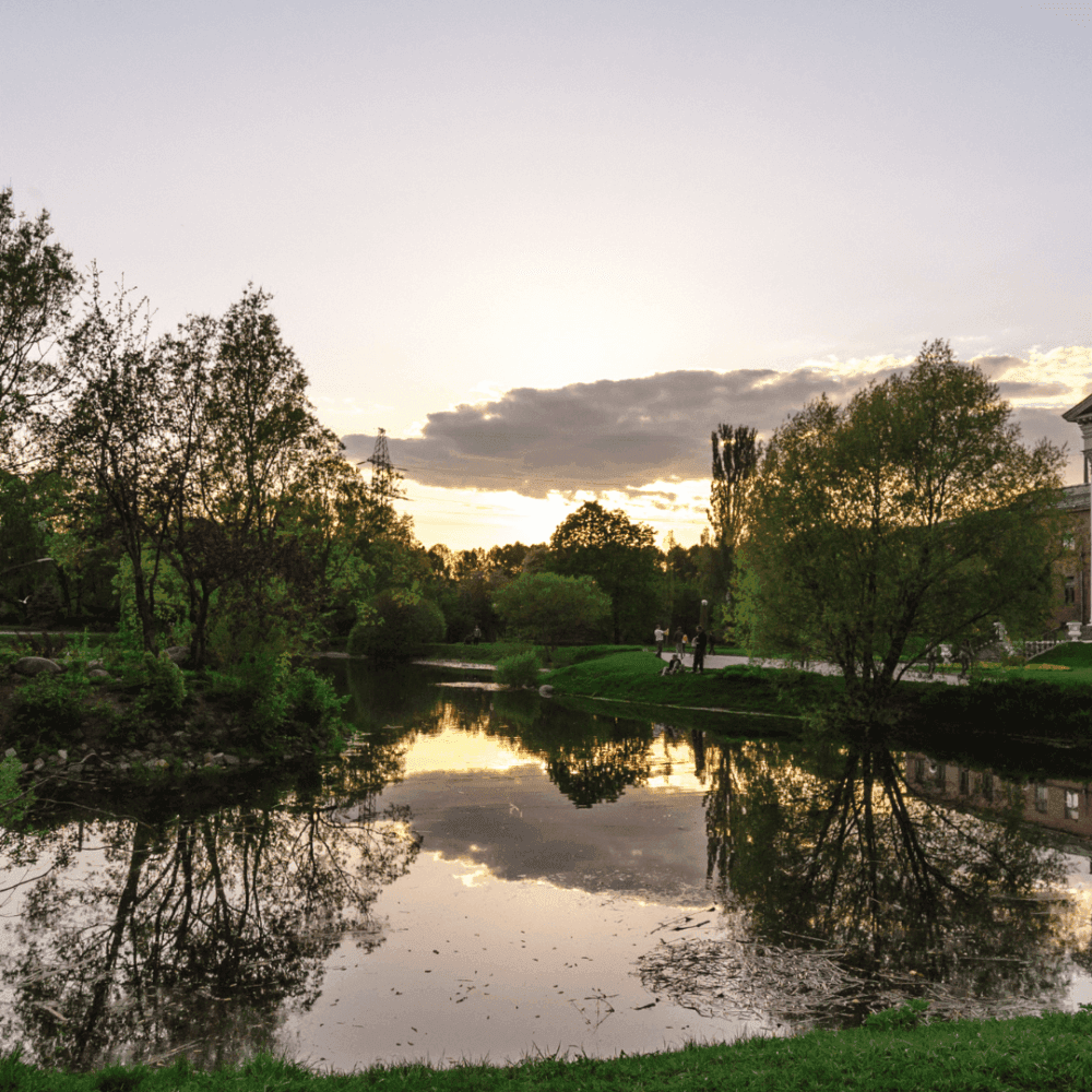 Sunset over a serene park with trees reflecting in a calm pond and people walking in the distance. - Home Instead