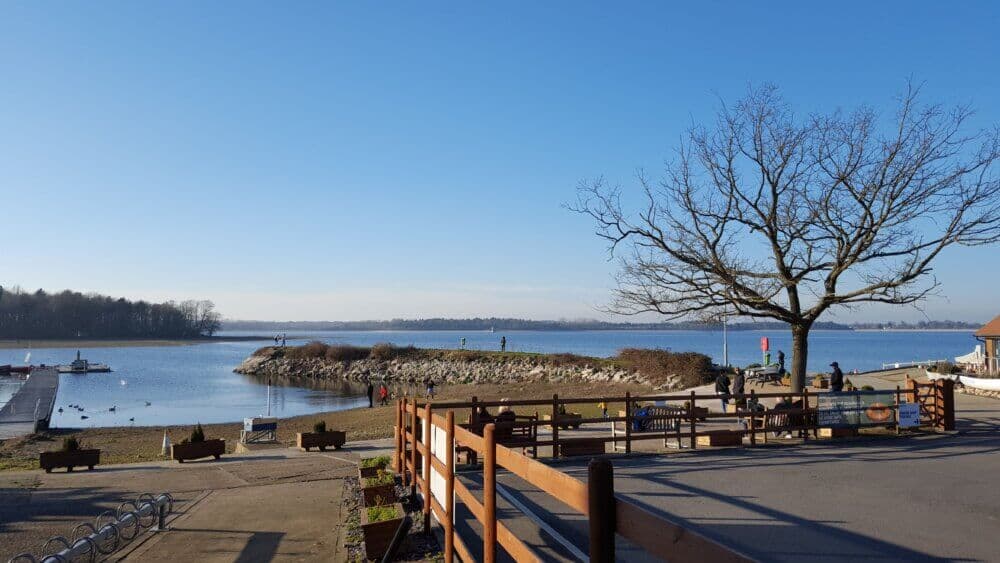 Scenic lakeside view with a wooden fence, leafless tree, and people walking along a pathway on a clear, sunny day. - Home Instead
