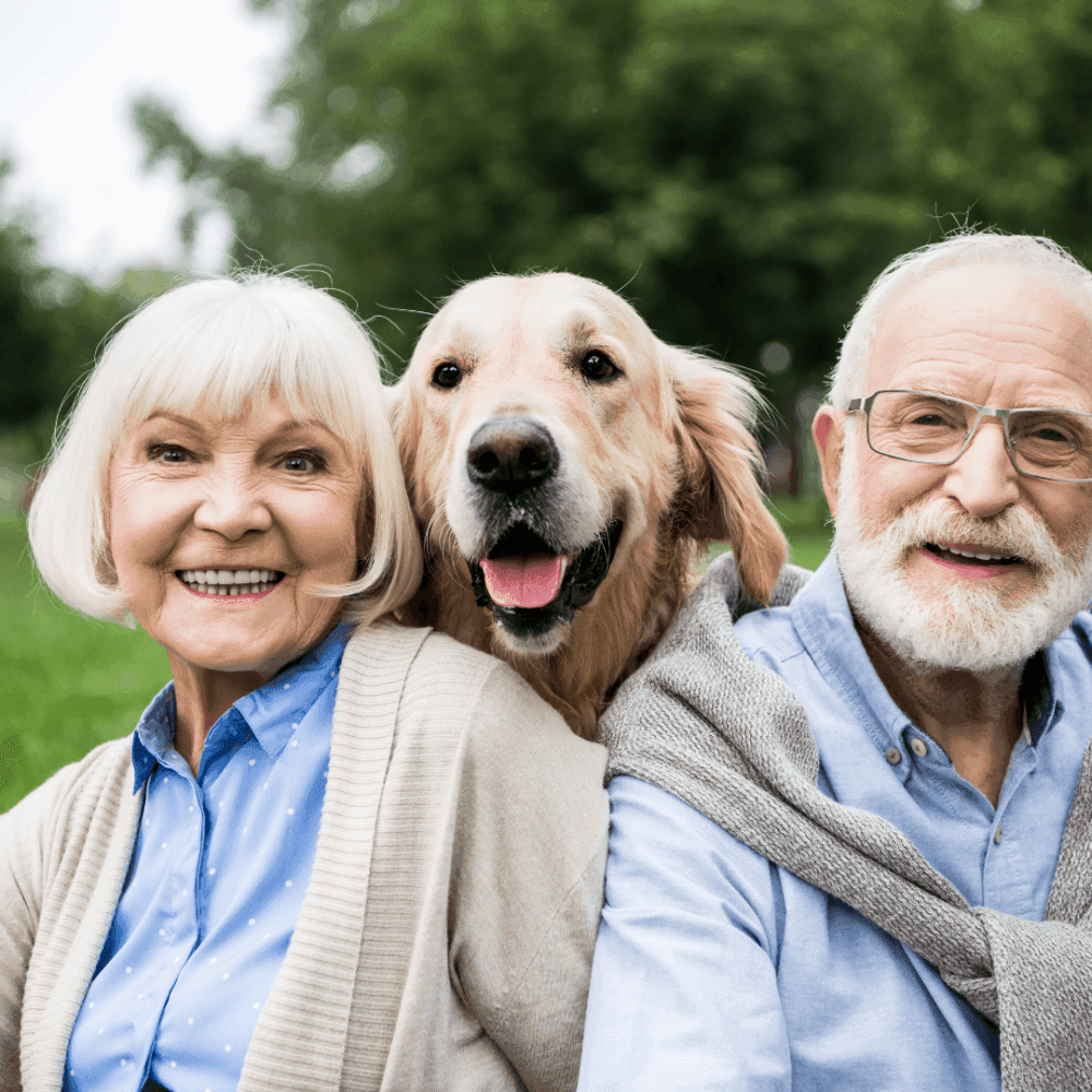 An elderly couple sitting outdoors with a golden retriever between them, all smiling and happy. - Home Instead