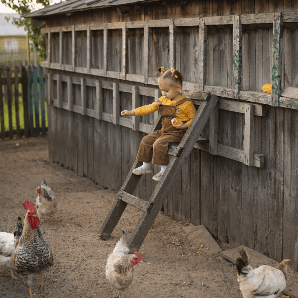 A toddler sits on a ladder feeding chickens beside a wooden coop in a farmyard. - Home Instead