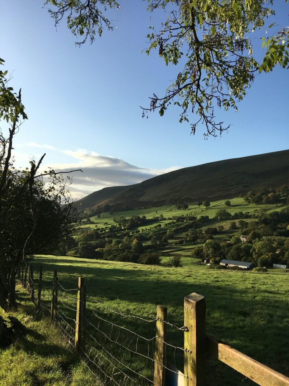 A scenic view of rolling green hills under a blue sky, with a wooden fence and trees in the foreground. - Home Instead