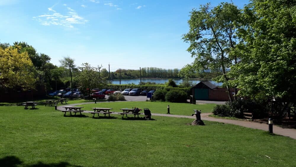 Grassy park with picnic tables, trees, a parking lot with cars, and a lake in the background under a clear blue sky. - Home Instead