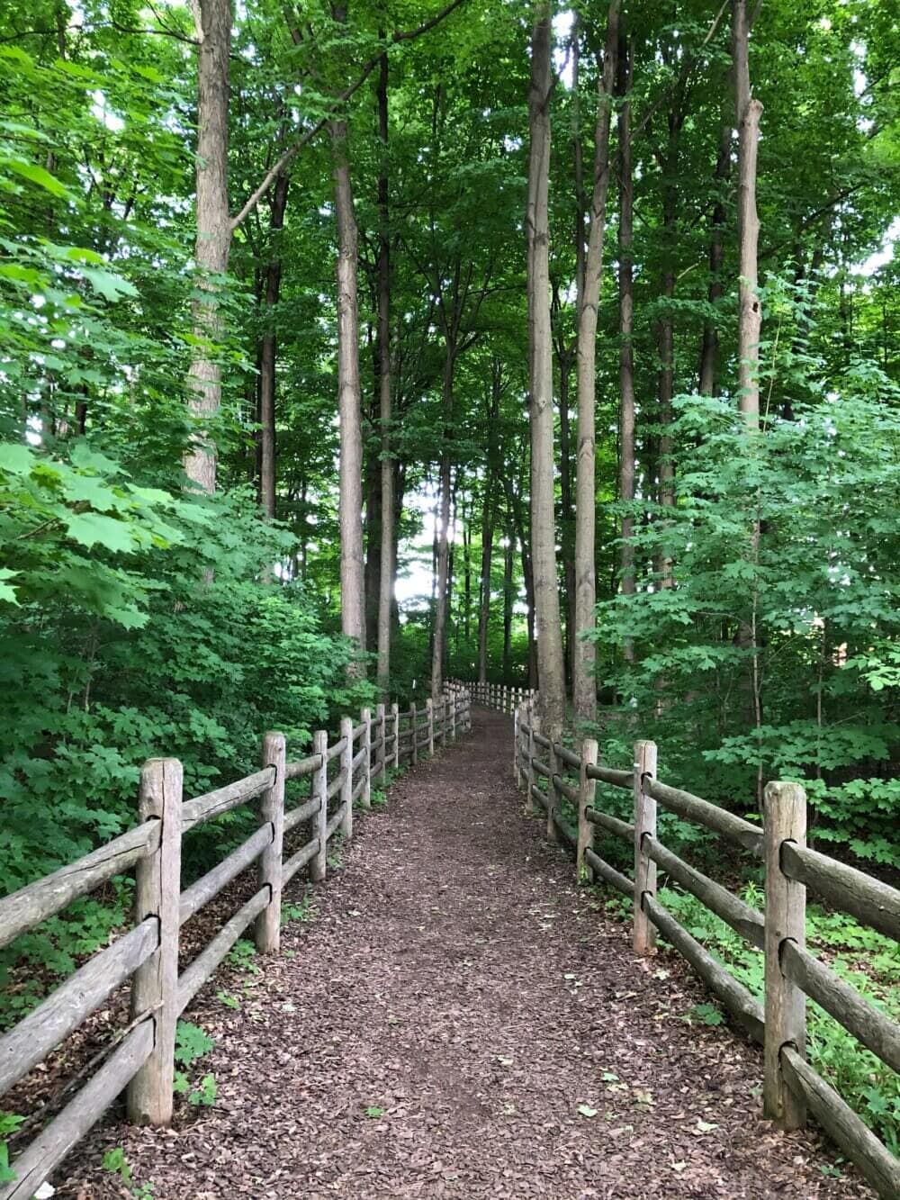 A dirt path surrounded by wooden fences leads through a lush, green forest with tall trees. - Home Instead