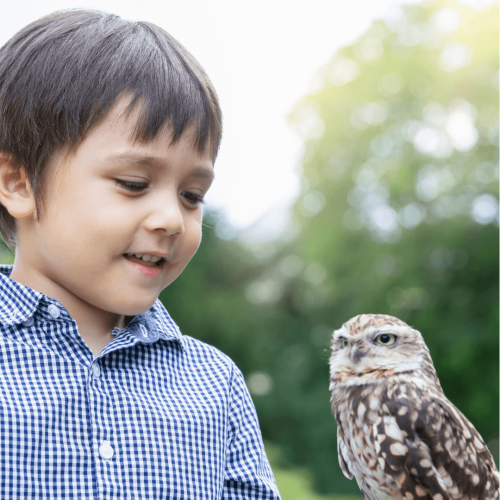 A young boy in a checkered shirt smiles while looking at an owl perched near him, with greenery in the background. - Home Instead