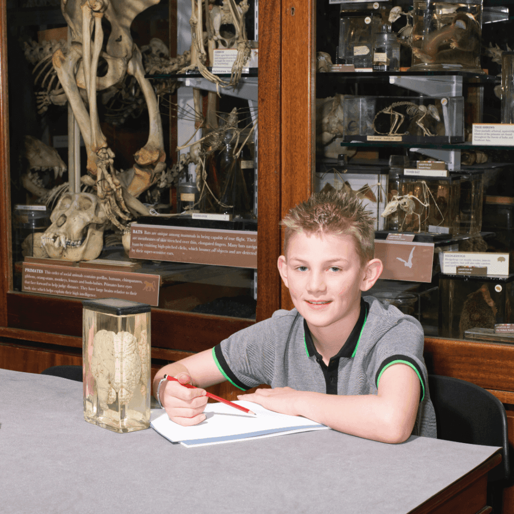 A boy sits at a table in a natural history museum, writing in a book, surrounded by skeleton displays and glass cases. - Home Instead
