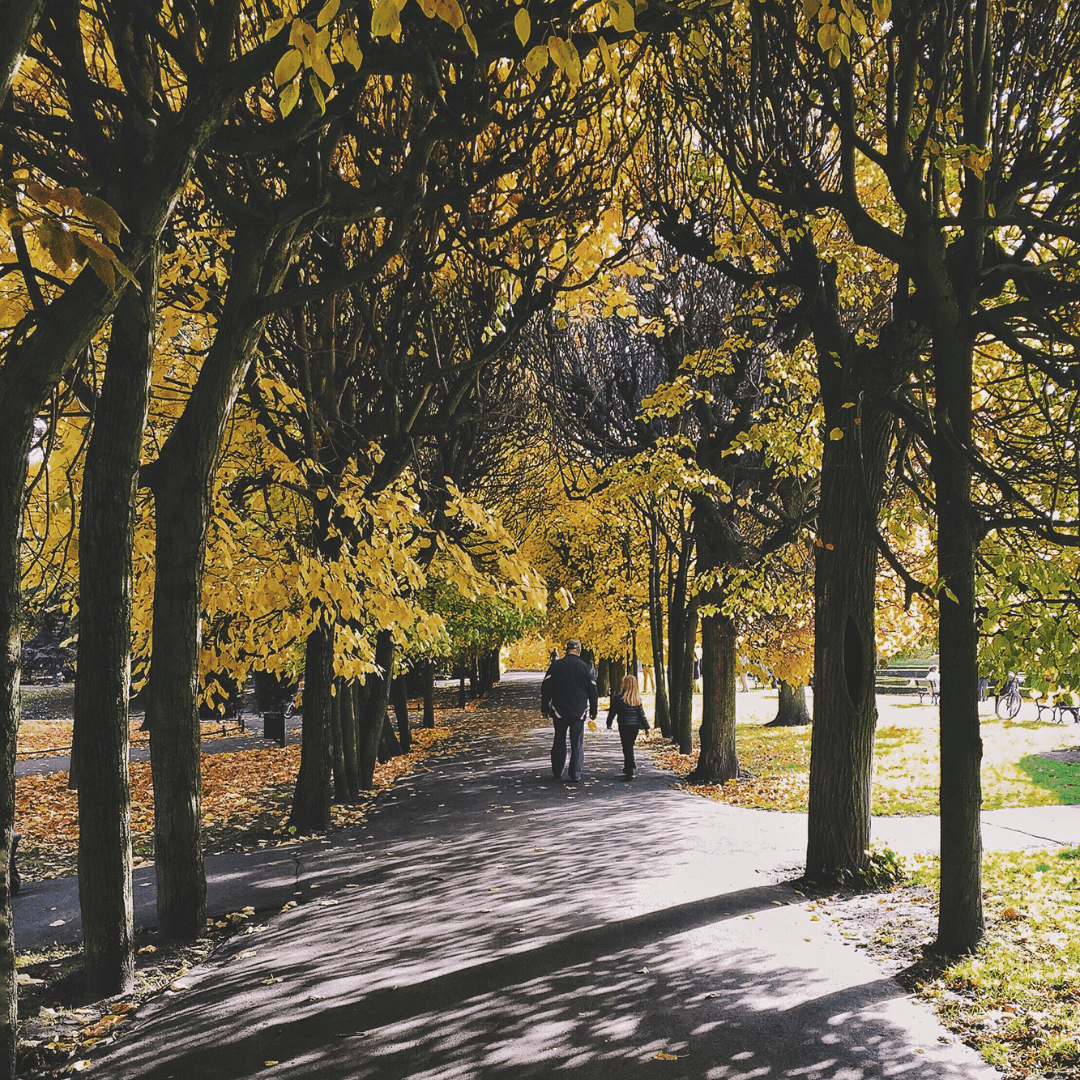 Two people walk down a tree-lined path with yellow autumn leaves in a park. - Home Instead