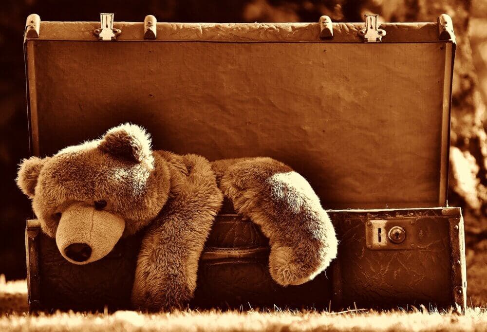 A teddy bear lies sprawled in an open vintage suitcase outdoors, bathed in warm sunlight. - Home Instead