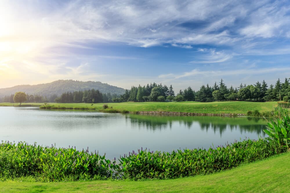 Green grass and woods with lake under blue sky