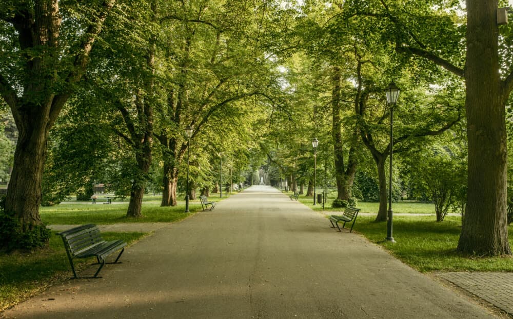 Parkway in a public park in a city