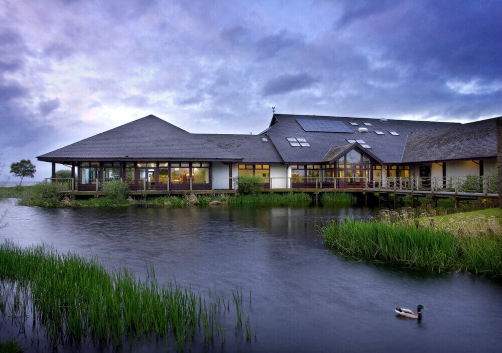 A modern building with large windows by a lake, surrounded by greenery, under a cloudy sky, with a duck in the water. - Home Instead