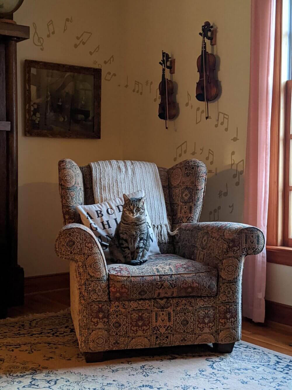 A cat sits on an upholstered armchair with musical notes and violin decorations on the wall in the background. - Home Instead