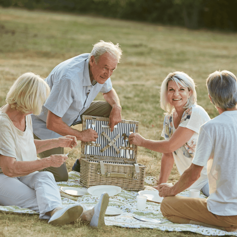 Four elderly people enjoying a picnic on a grassy field, sitting on a blanket with a picnic basket, smiling and talking. - Home Instead