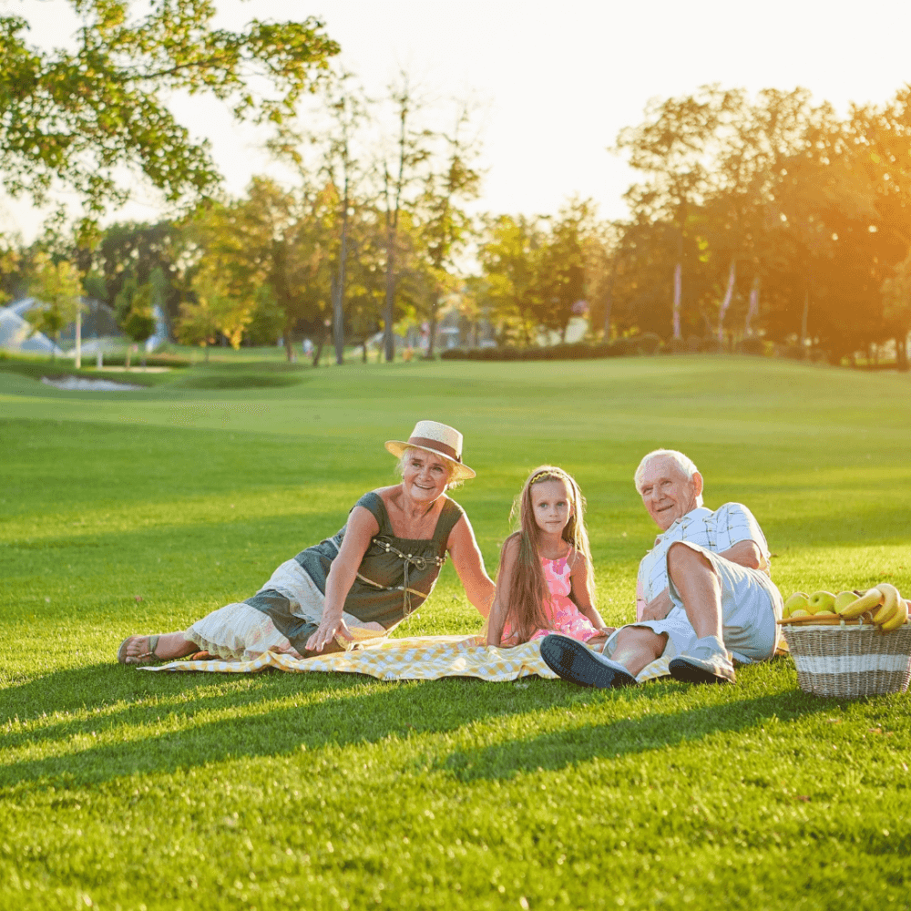 Three people enjoy a picnic on a grassy field, with trees and a sunlit sky in the background. - Home Instead