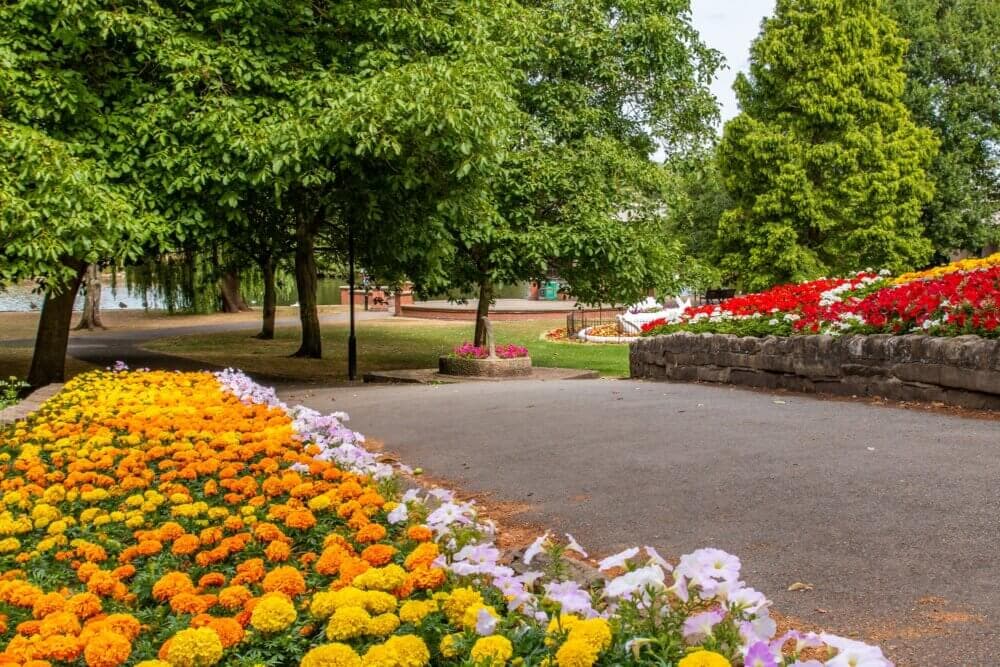 A path through a vibrant garden with yellow, orange, and red flowers, surrounded by lush green trees and shrubs. - Home Instead