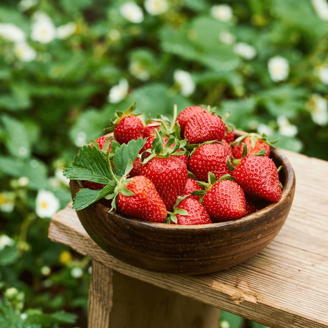 A wooden bowl filled with fresh strawberries sits on a ledge in a garden with green foliage in the background. - Home Instead